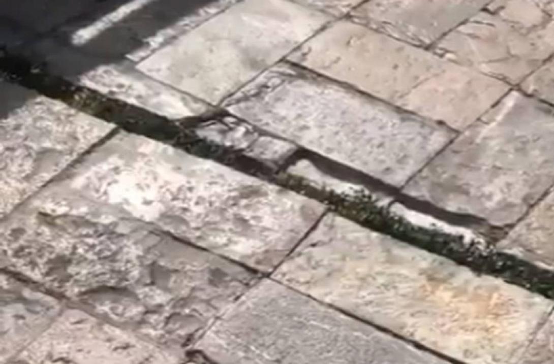 σεισμός Μεξικό