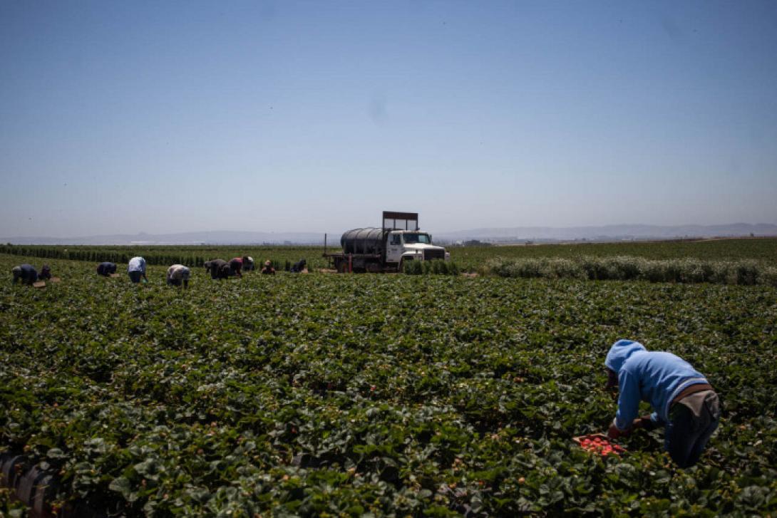 Με περίπου 17 εκατομμύρια ευρώ ενισχύονται νέοι αγρότες