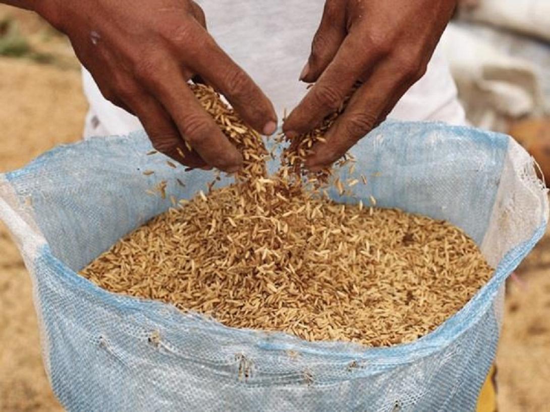 Ο πλανήτης έχει ανάγκη από τροφή