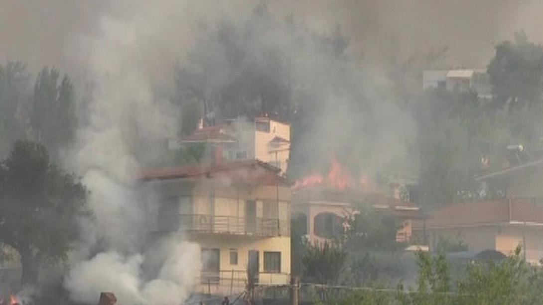 σπίτια κάλαμος