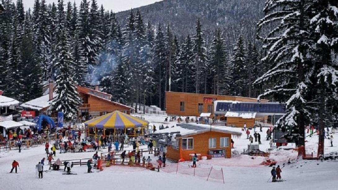 Βουλγαρία - Μπάσκο