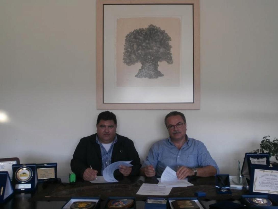 δημος πλατανια