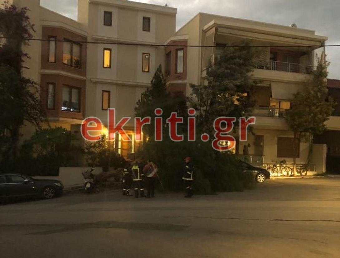 Φωτογραφία από την περιοχή του Αγίου Ιωάννη όπου έπεσε το δέντρο