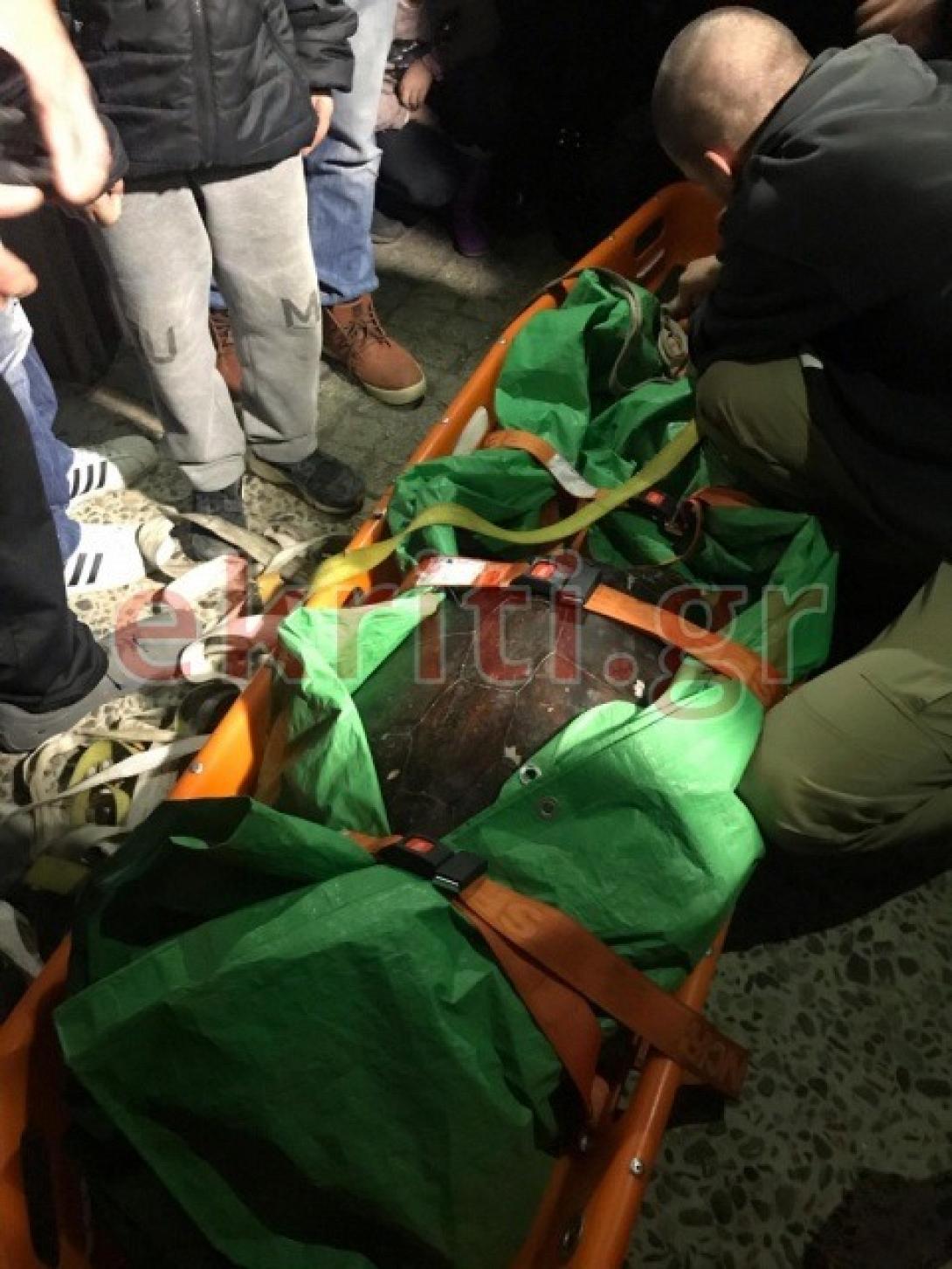 Η χελώνα, κατά την διάρκεια της επιχείρησης.