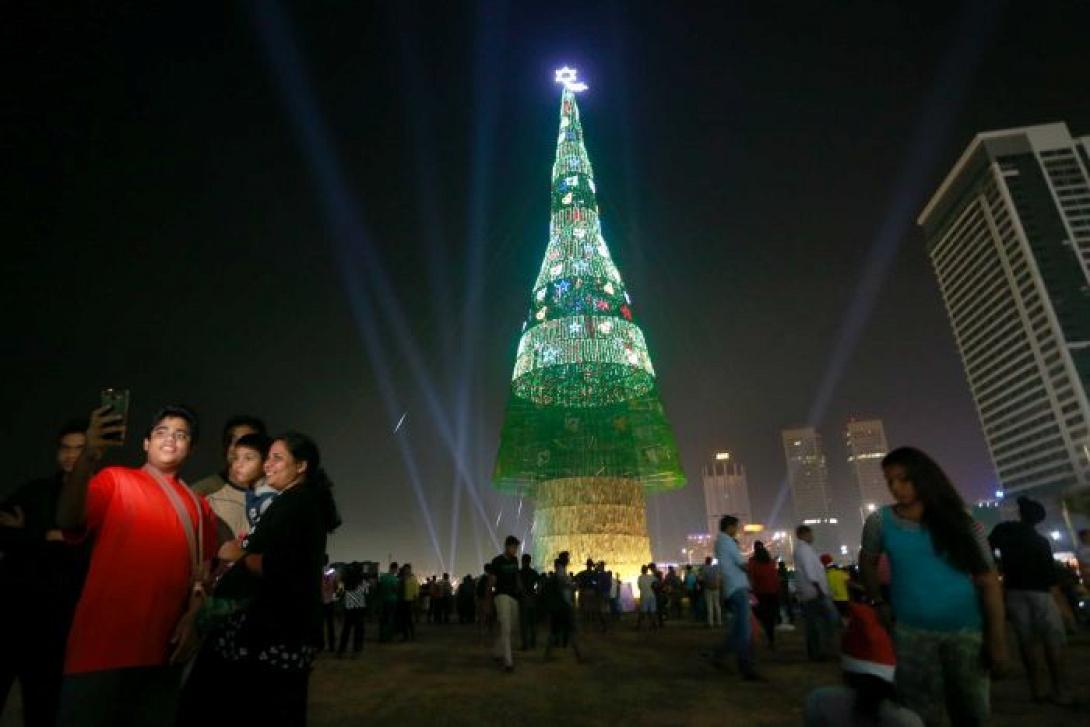 σρι λανκα δεντρο