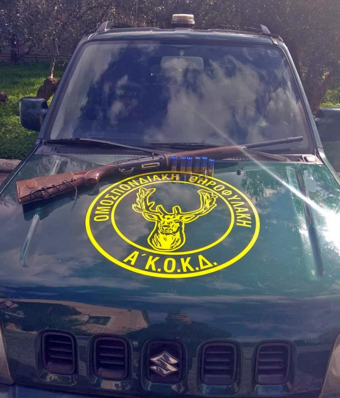 κυνηγι θηροφυλακη