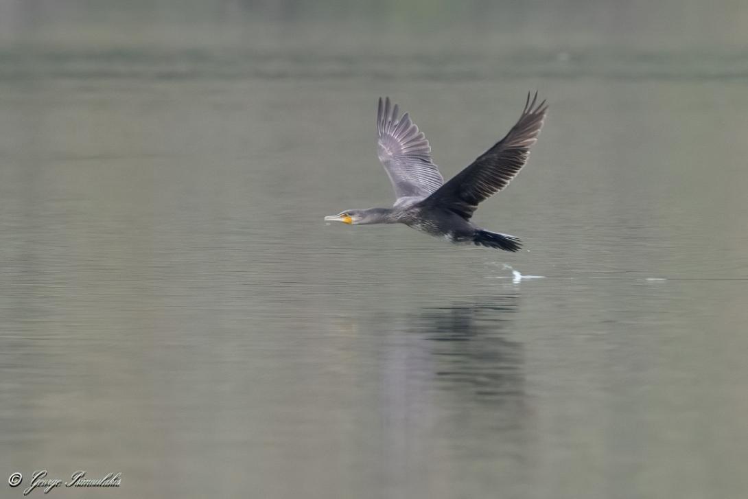 Μια ακόμα εντυπωσιακή λήψη!