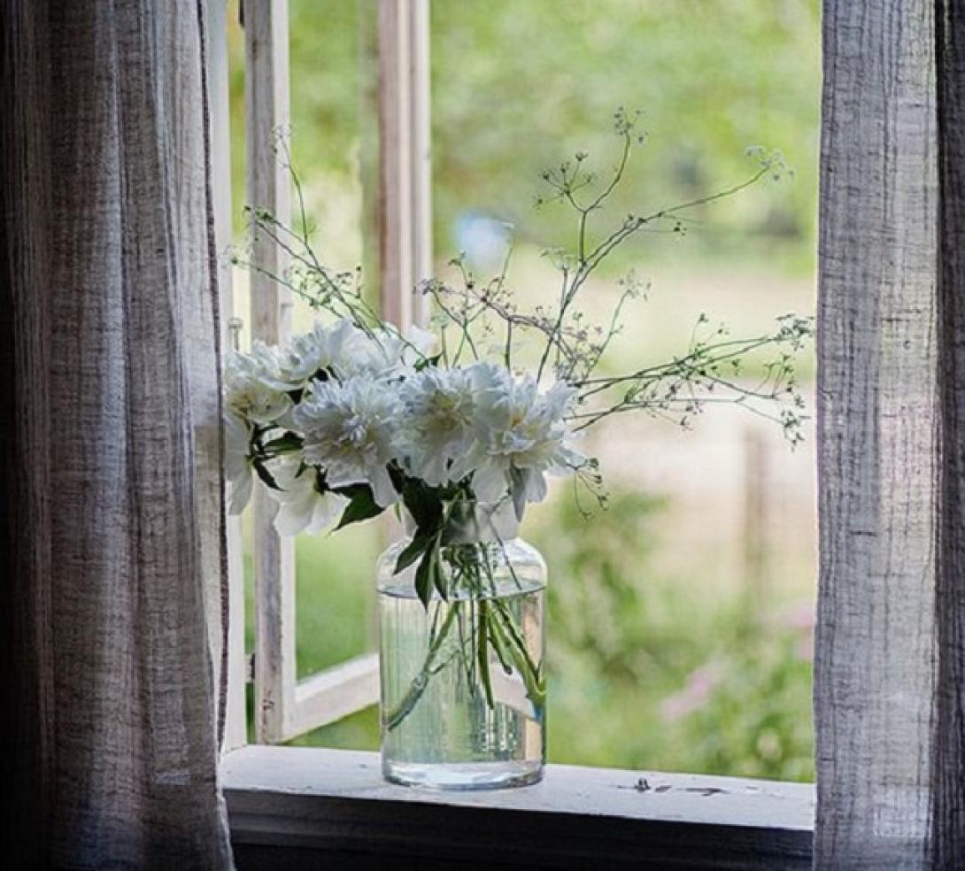 λουλούδια άνοιξη σπίτι παράθυρο