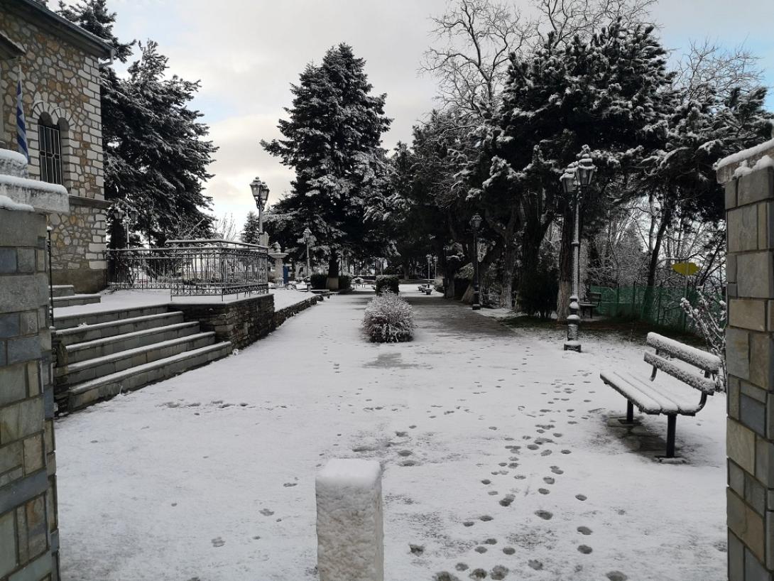 Λιβαδι Ελλασόνας