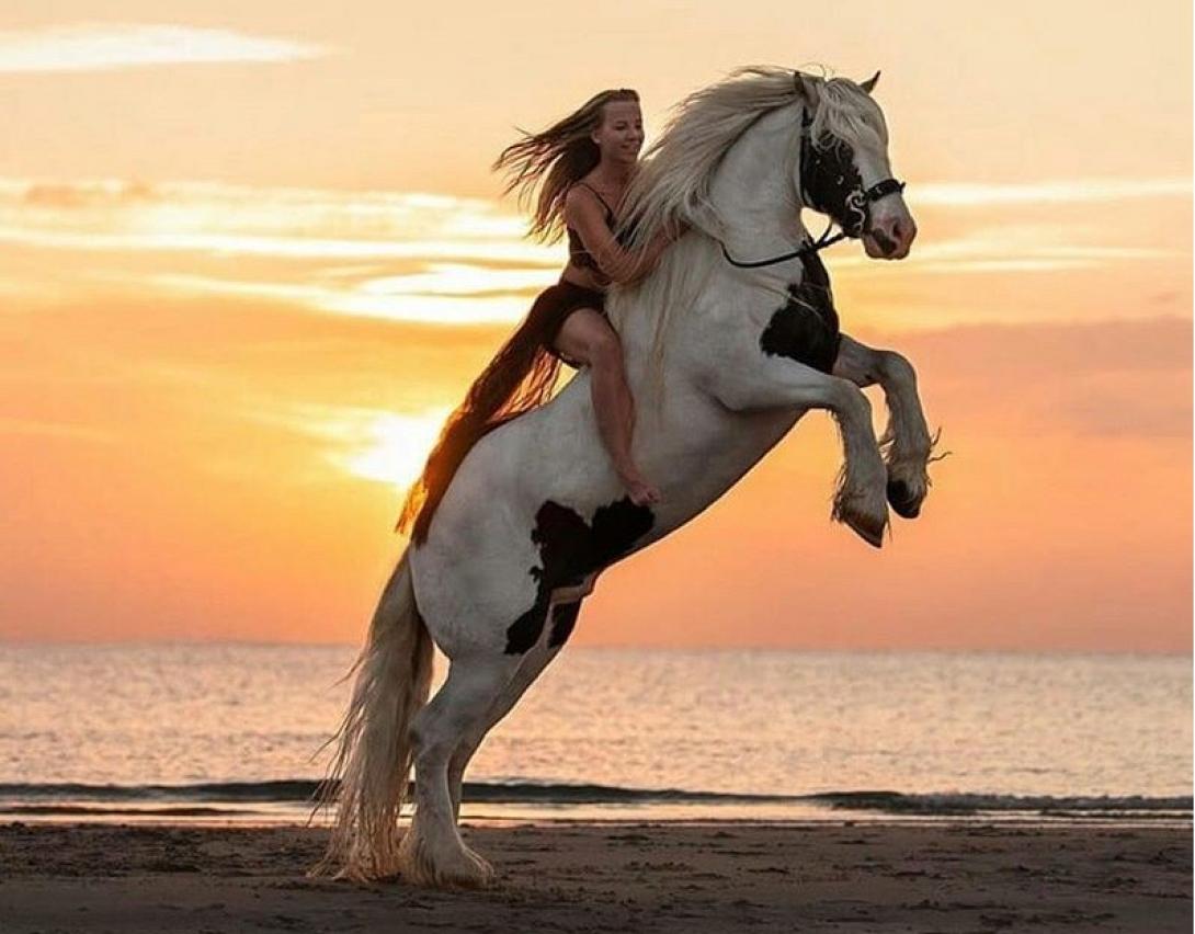 γυναίκα άλογο 