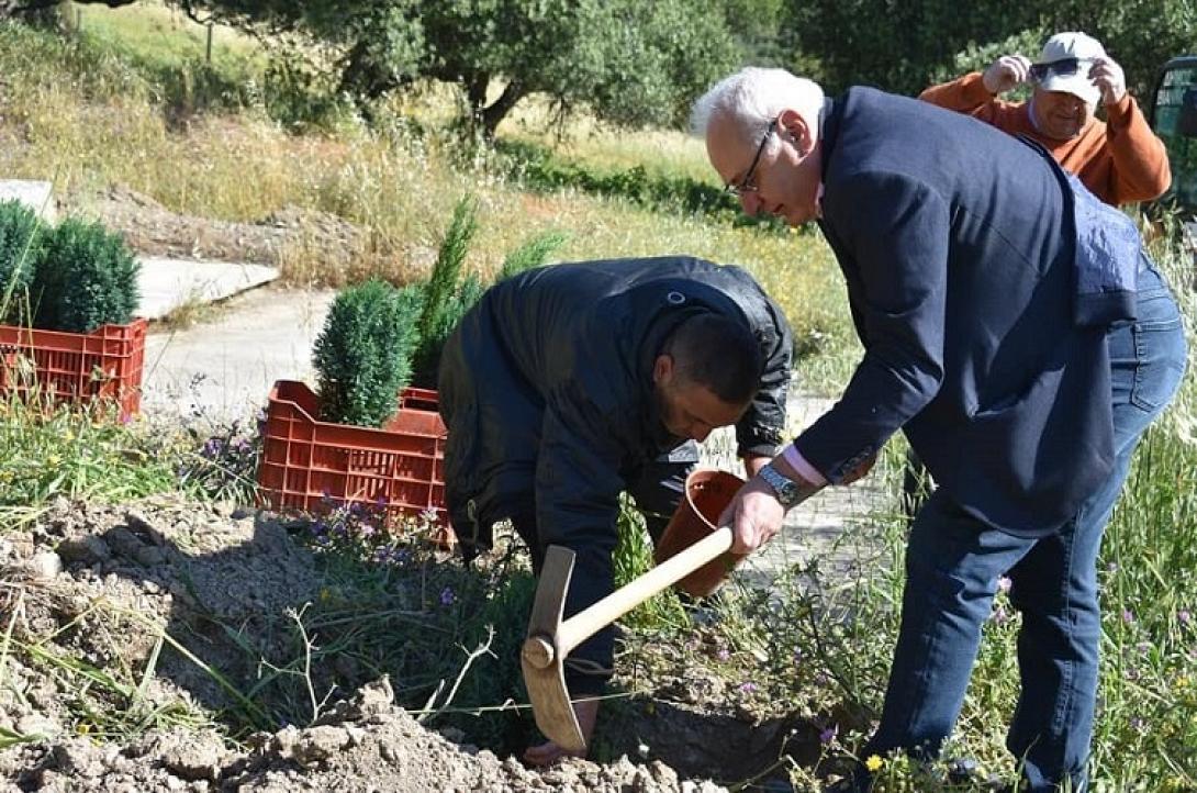 μπαριτάκης δεντροφύτευση