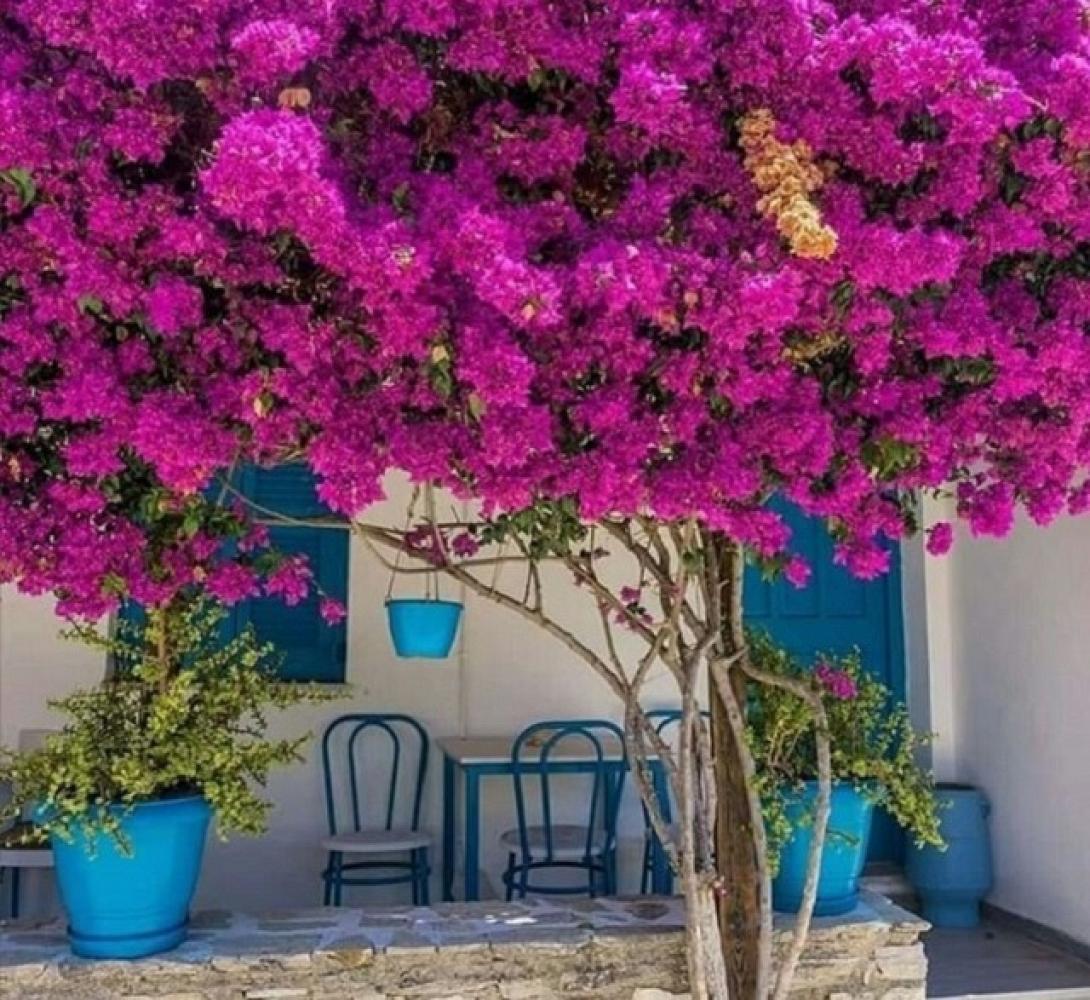 νησί τουρισμός καλοκαίρι διακοπές