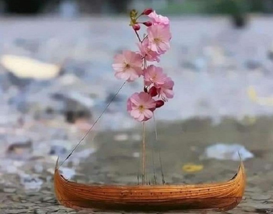 θάλασσα καλοκαίρι