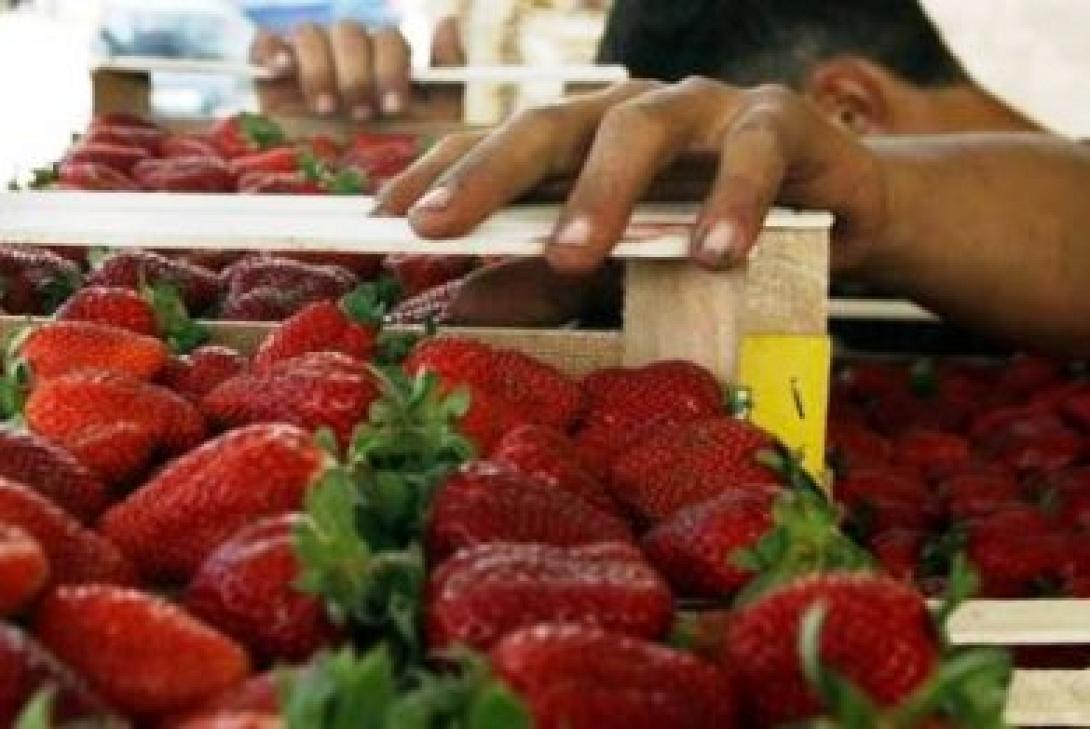 Όταν ο Άδωνις δικαιολογεί τους πιστολέρο της Μανωλάδας 