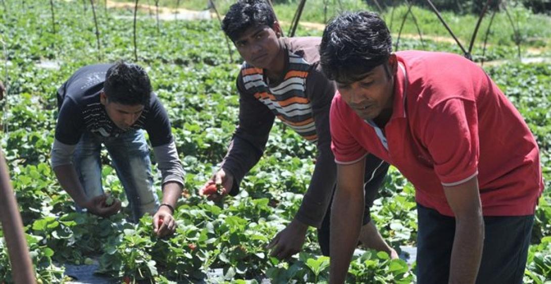μετανάστες εργάτες