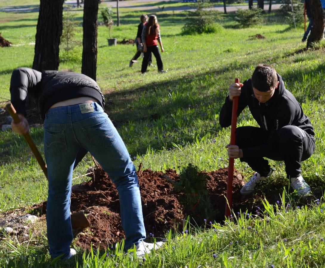 δενδροφυτευση