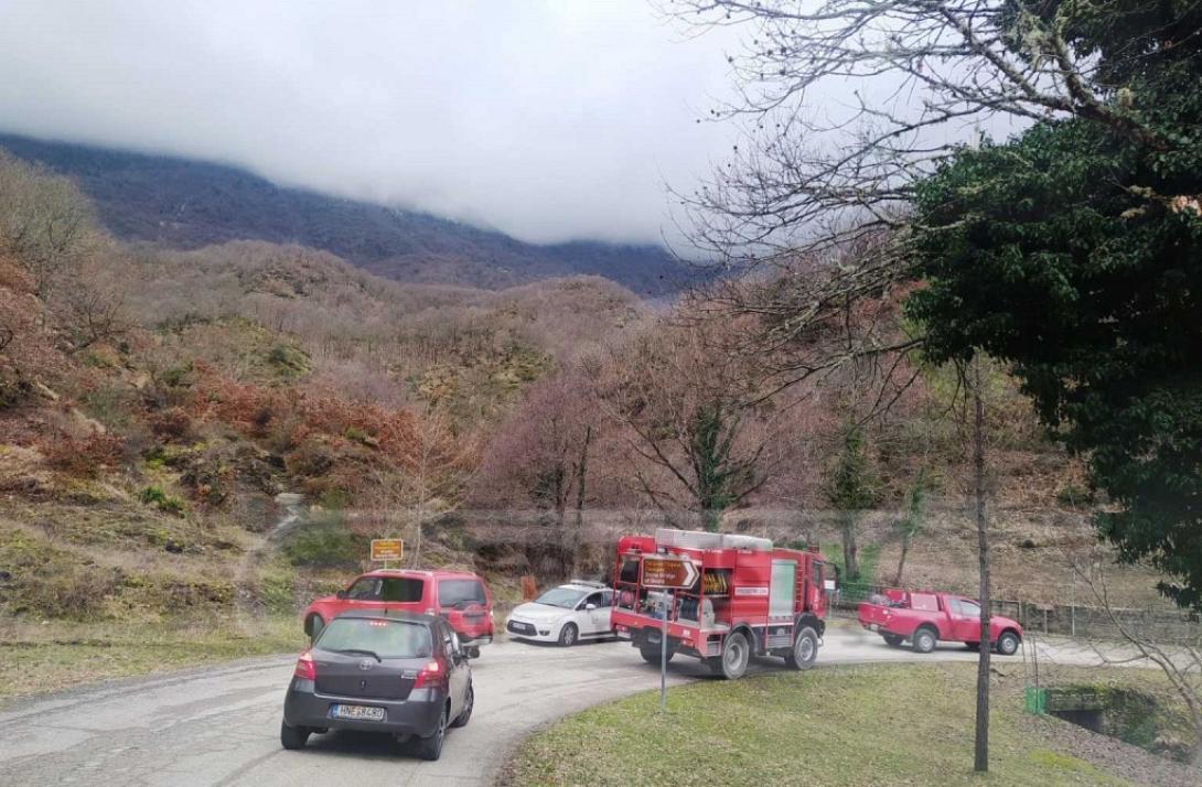 Η πυροσβεστική στο σημείο - Φωτογραφία epirustv