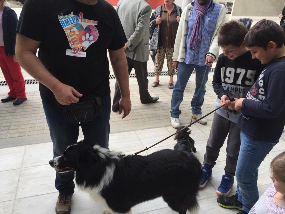 εκδηλωση για αδεσποτα δημου