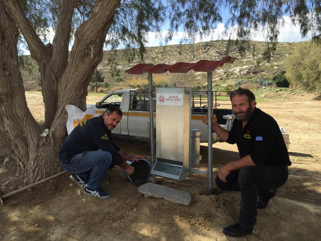 αδεσποτα δημος ηρακλειου