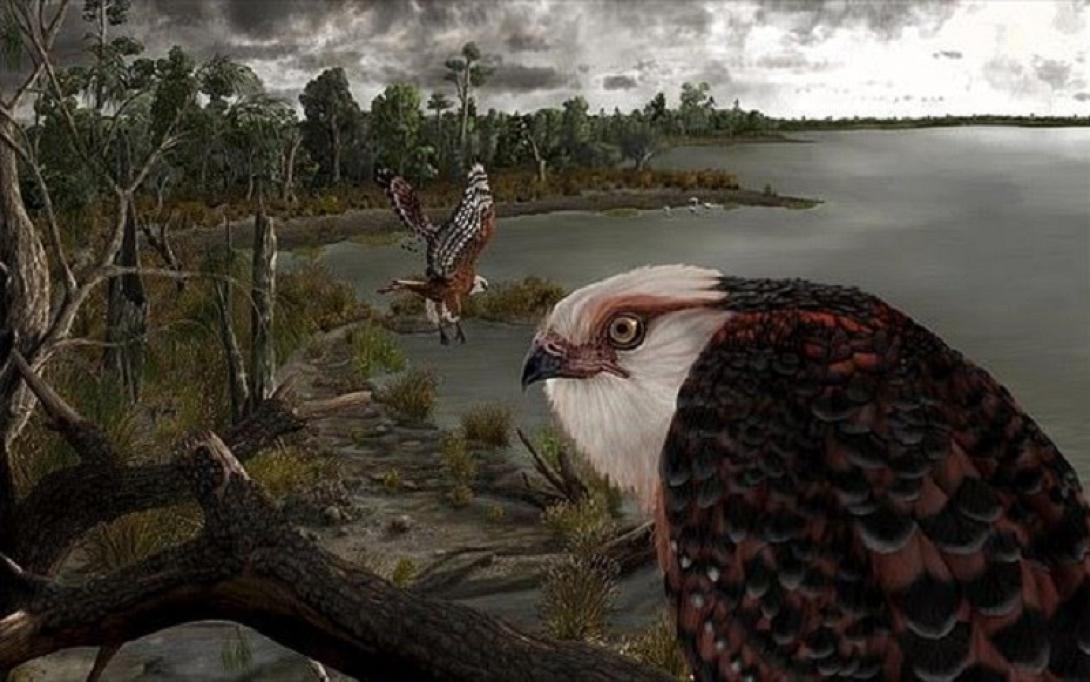 αρχαιος αετος