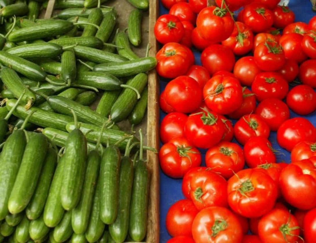 Στα αζήτητα τα κρητικά κηπευτικά λόγω Ρωσίας αλλά και… Αλβανίας 