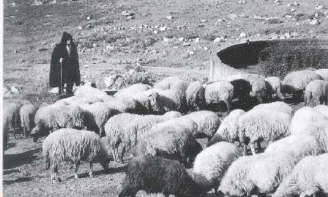 Αγιος - Φοβέρα