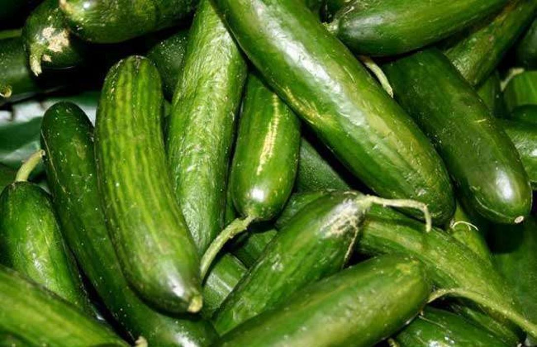 Αγγουράκια σε τιμές χρυσού στις λαϊκές του Ηρακλείου 