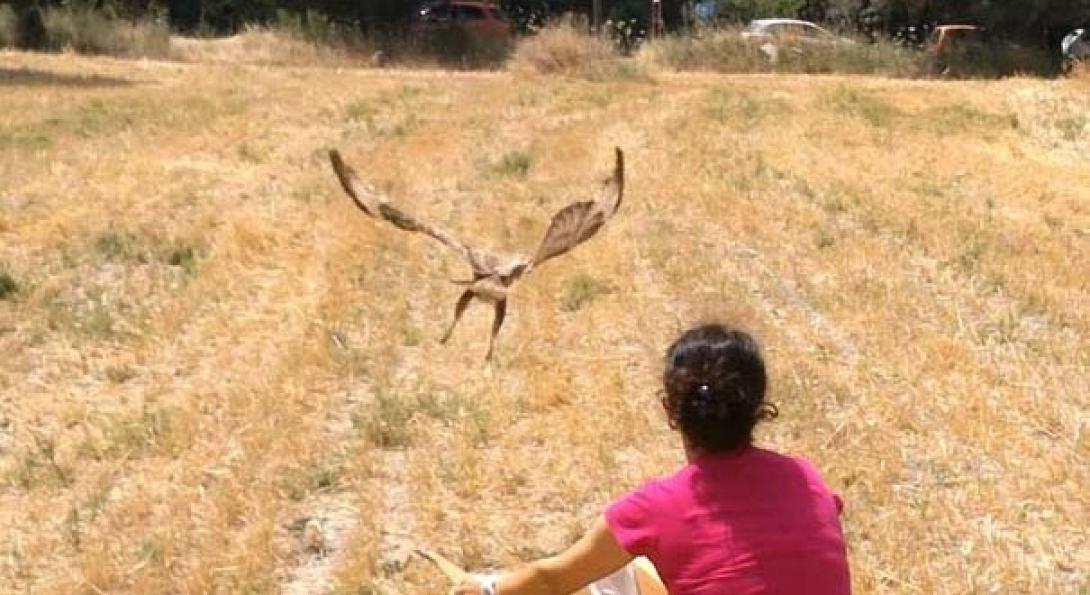 'Αγρια πουλιά επιστρέφουν στη φύση, στη "Στράτα του Ψηλορείτη"