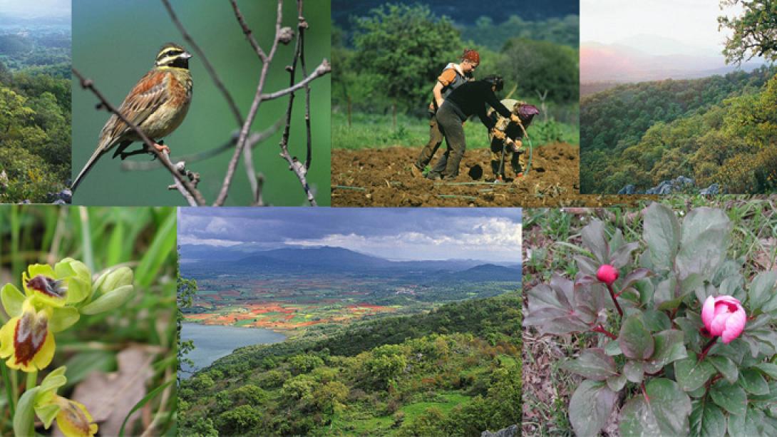 Στη Βουλή η προστασία των άγριων φυτών στην Ελλάδα και την Ευρώπη