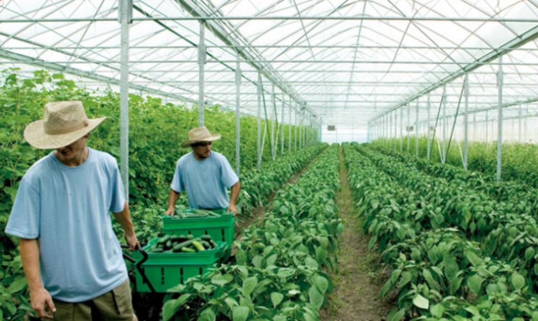 Στον αναπτυξιακό νόμο αγροτικές επενδύσεις σε όλη την Ελλάδα (αναλυτικά το τελικό σχέδιο)