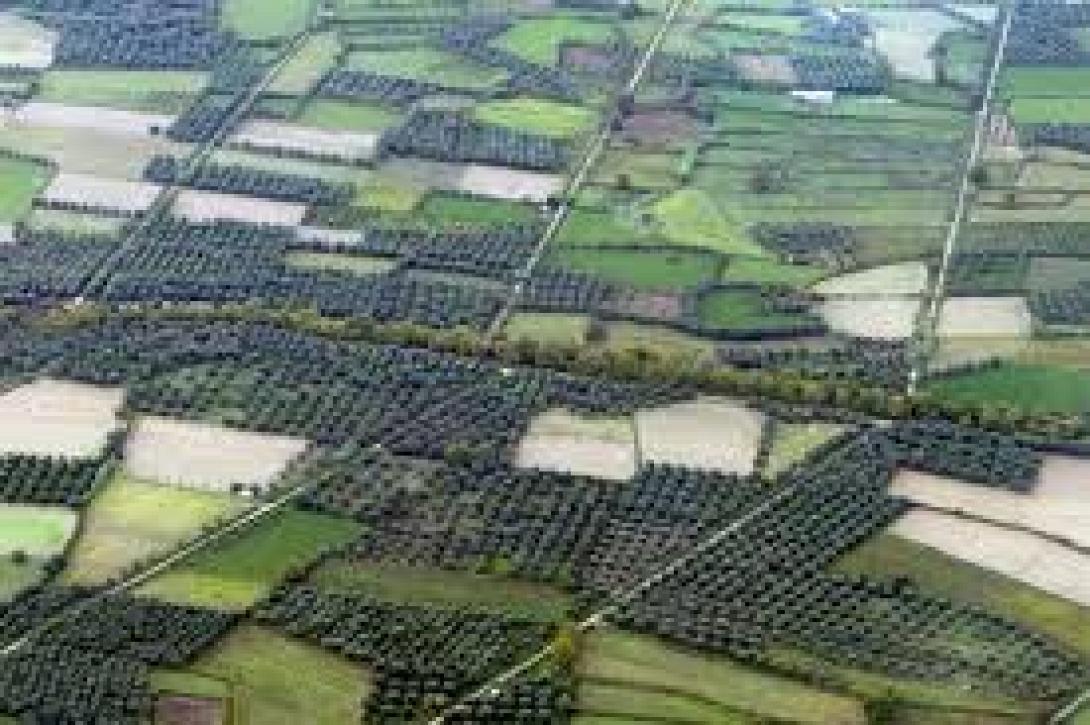 αγροτεμαχια, φορολογια