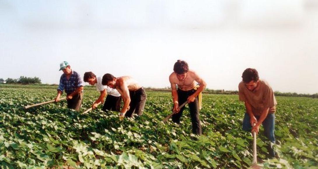 Οι αγρότες στα "βαρέα και ανθυγιεινά" προτείνει ο Κεγκέρογλου
