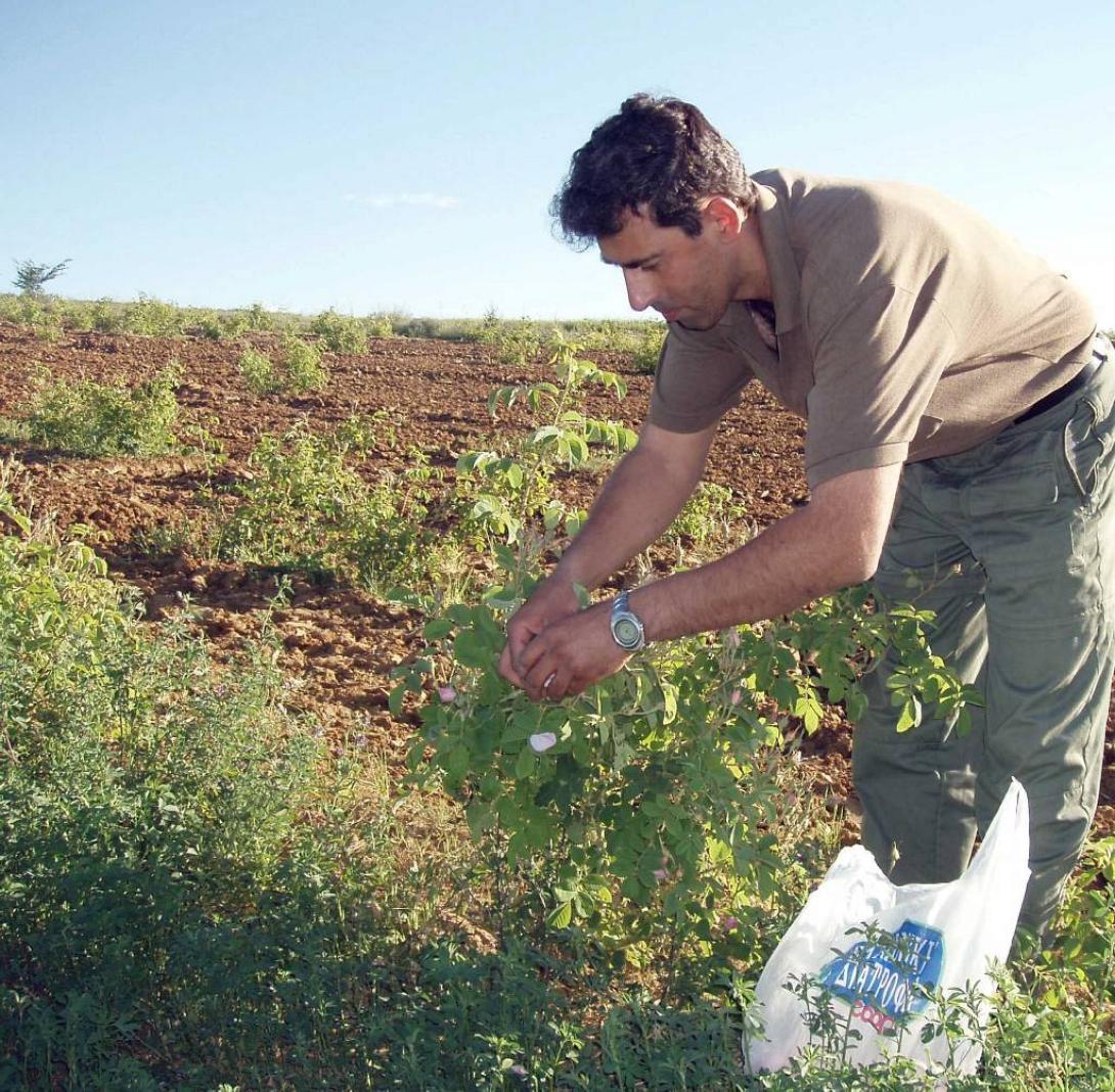 Ενημέρωση στο Δ. Φαιστού για την ενίσχυση των νέων αγροτών