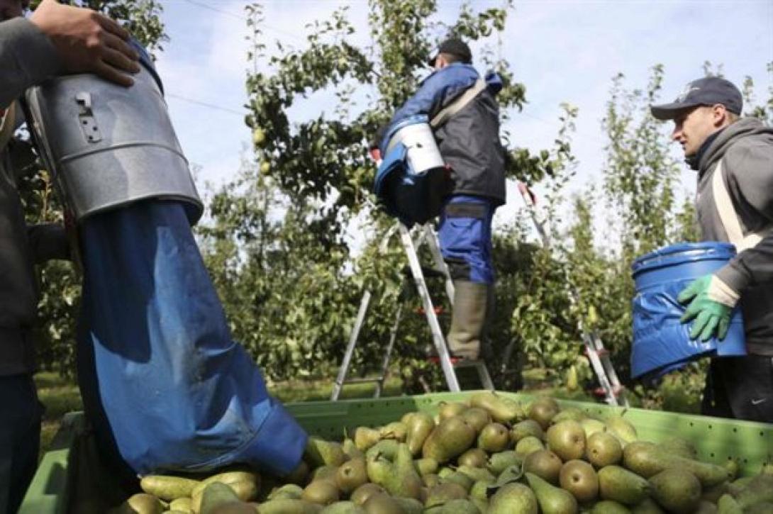 Έκακτη επιδότηση στους Ευρωπαίους αγρότες 