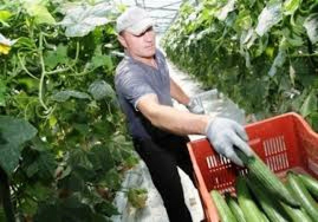 Συμπαραστέκονται στον αγώνα των αγροτών της Ιεράπετρας