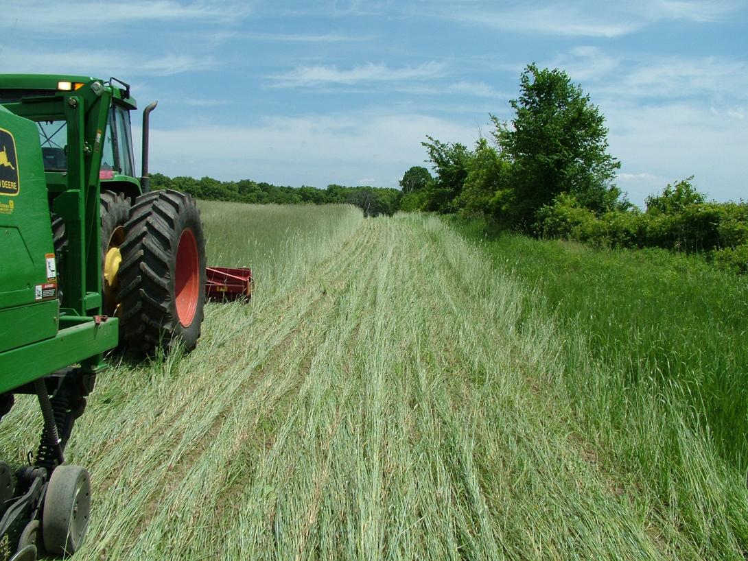 αγρότες παραγωγη