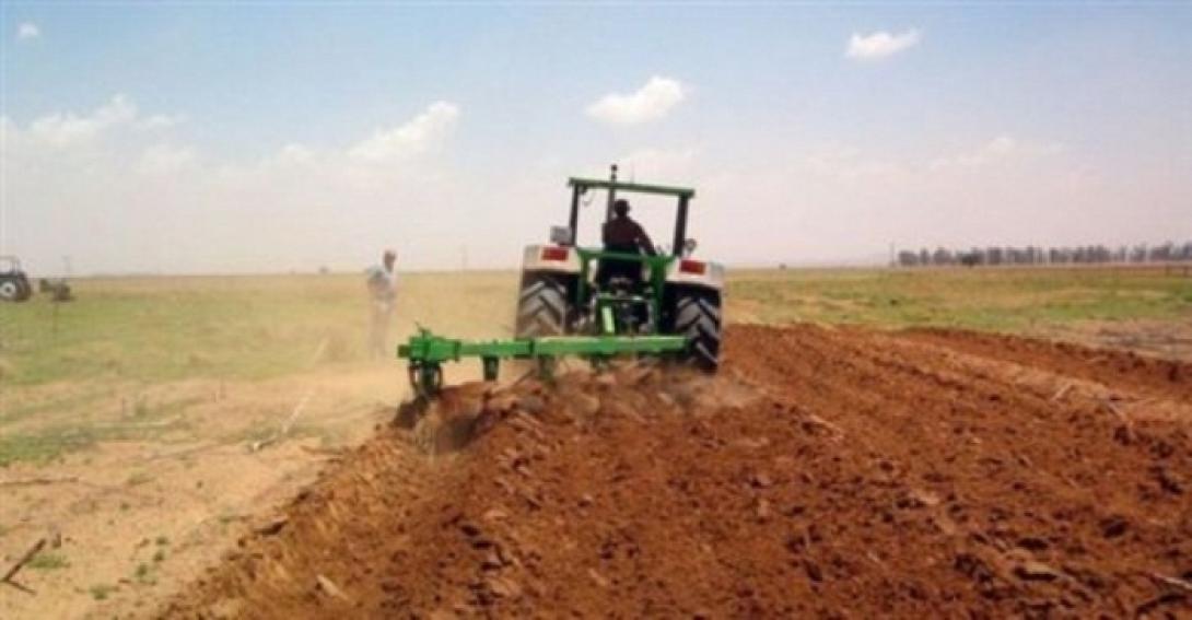 Το Ειρηνοδικείο Χανίων απαγόρευσε σε τράπεζα να "βάζει χέρι" στις επιδοτήσεις αγρότη