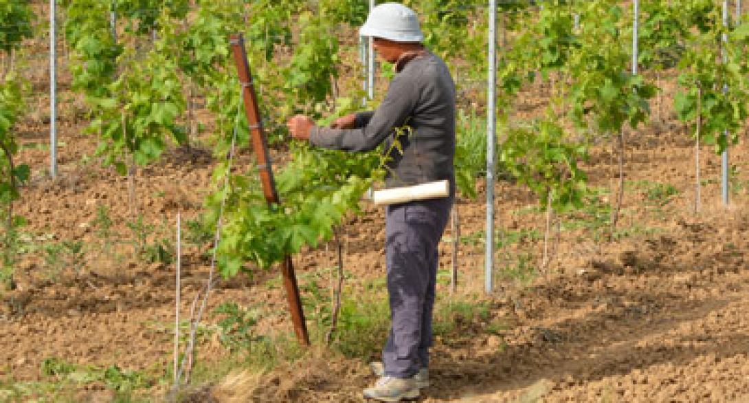 ενεργοποιηση