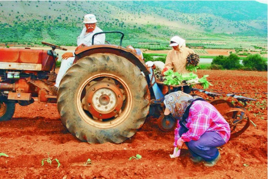 "Τσιφλικάδες" θέλει τους αγρότες ο Θεοχάρης