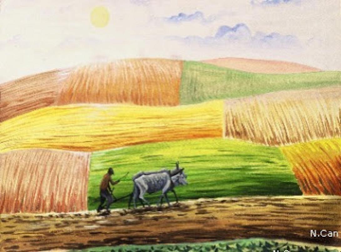 Απώλειες για την Κρήτη από την Ενιαία Ελληνική Περιφέρεια στη νέα ΚΑΠ