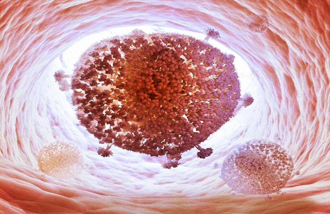 Ελπίδες για την θεραπεία του Aids - Επιστήμονες απομόνωσαν τον ιό