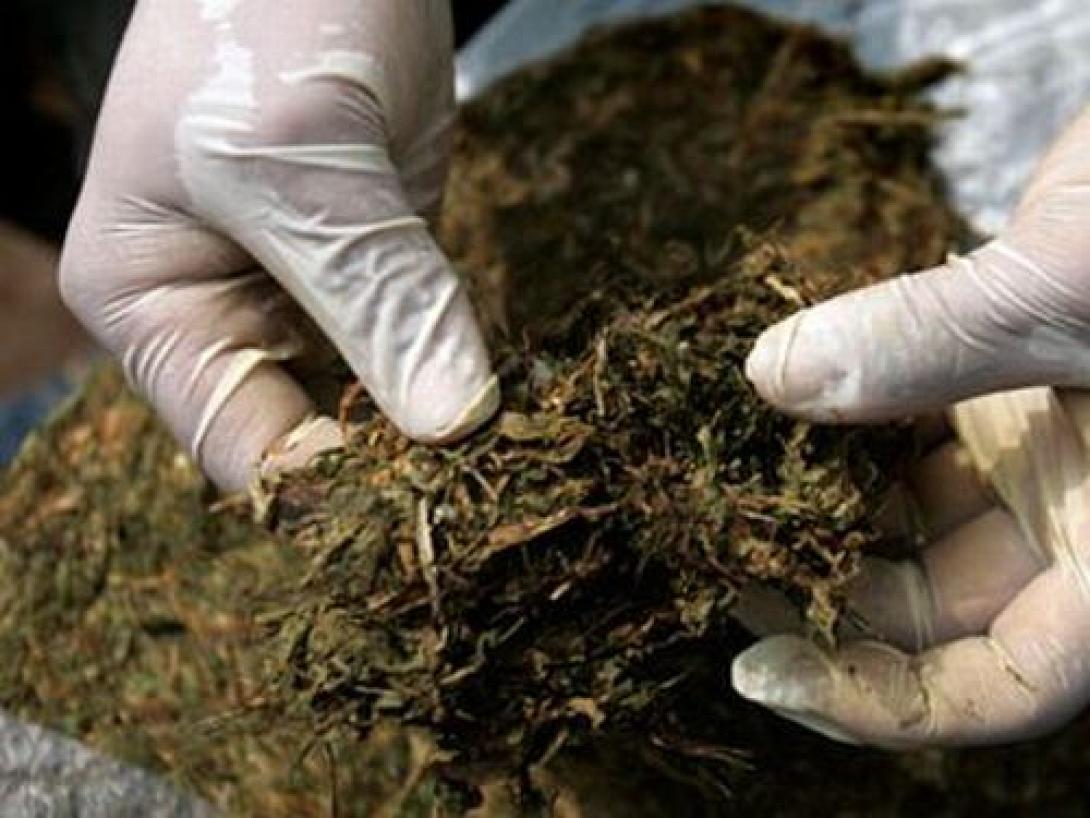 Ηράκλειο: Η έφοδος των αστυνομικών στο σπίτι έβγαλε λαβράκι