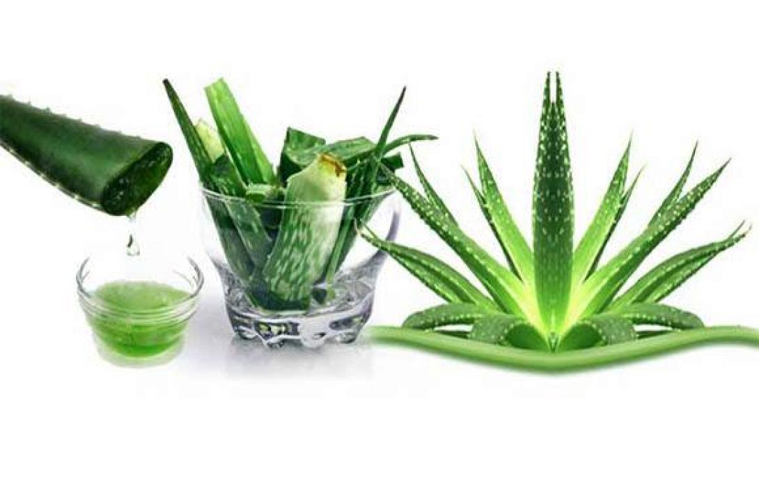 Φτιάξε μόνη σου gel από aloe vera