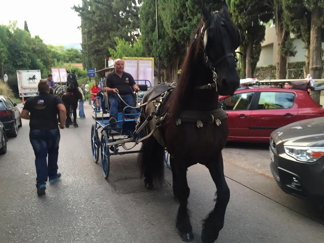 διαμαρτυρια με αλογα - ΕΣΥ