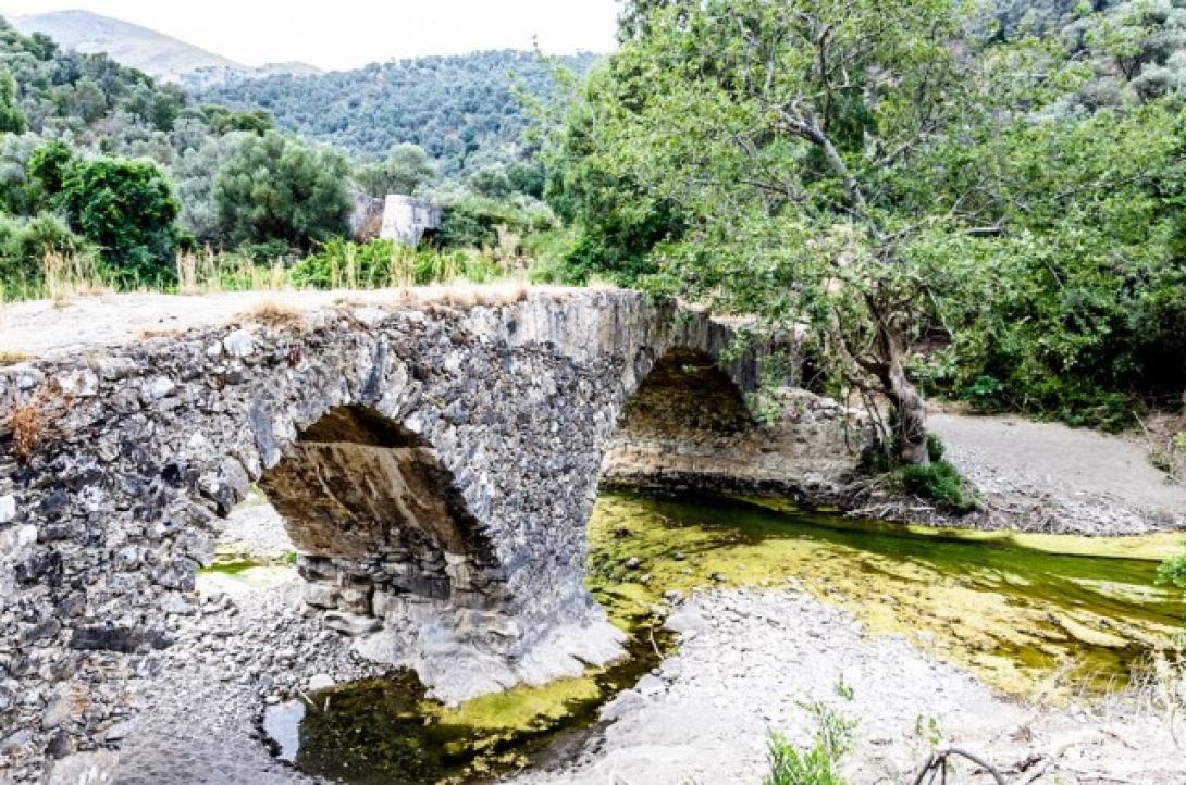 Amari Green Festival