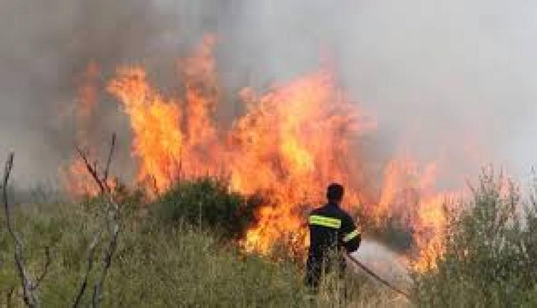 Υπό πλήρη έλεγχο η φωτιά στο Αμυγδαλοκεφάλι Κισσάμου