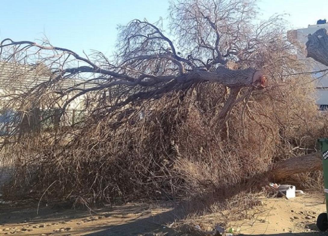 Παραλία - Αμμουδάρα