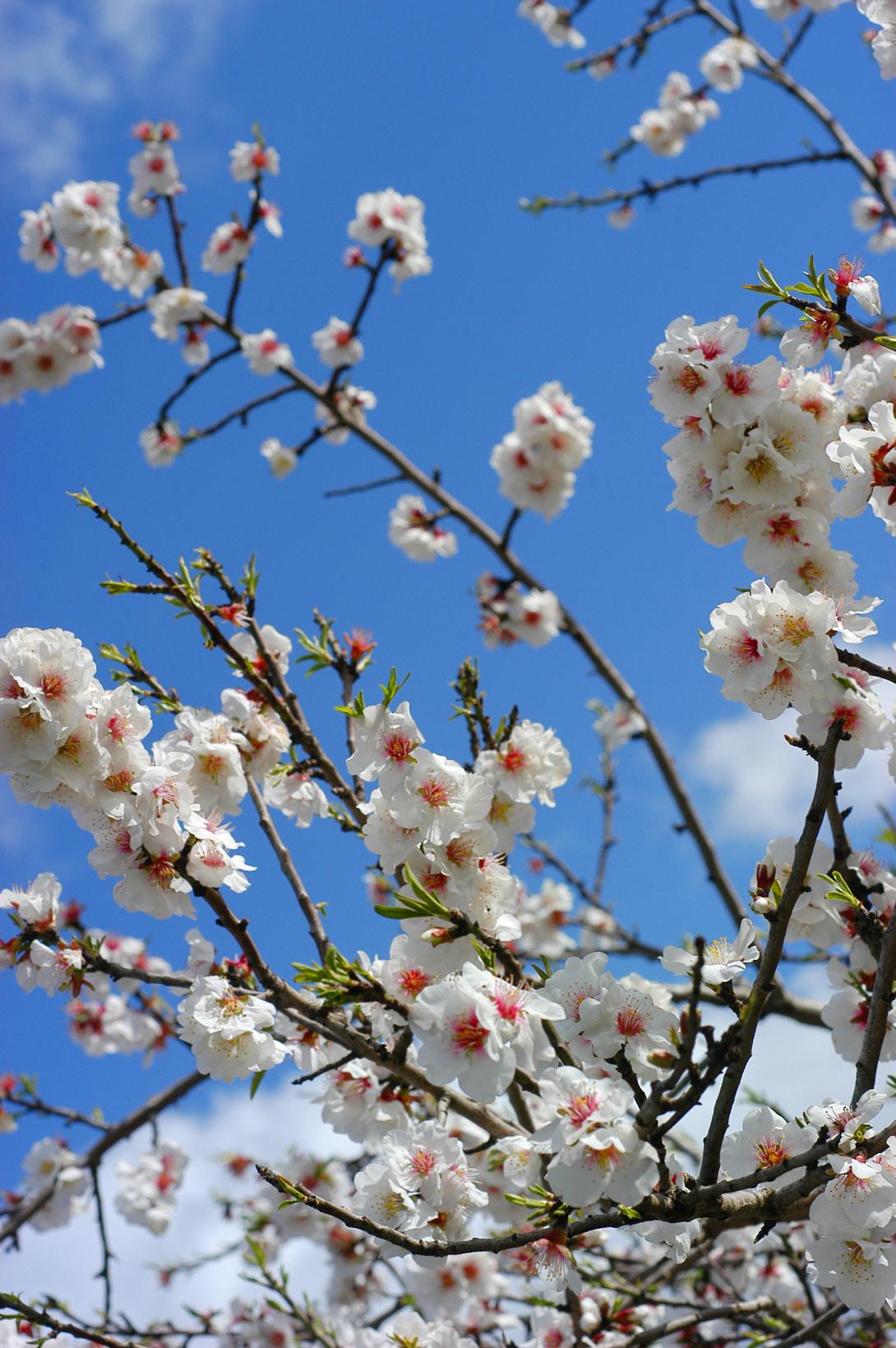 Η νίκη του ΣΥΡΙΖΑ, η διαπραγμάτευση, η αισιοδοξία και οι αλλαγές στα κόμματα