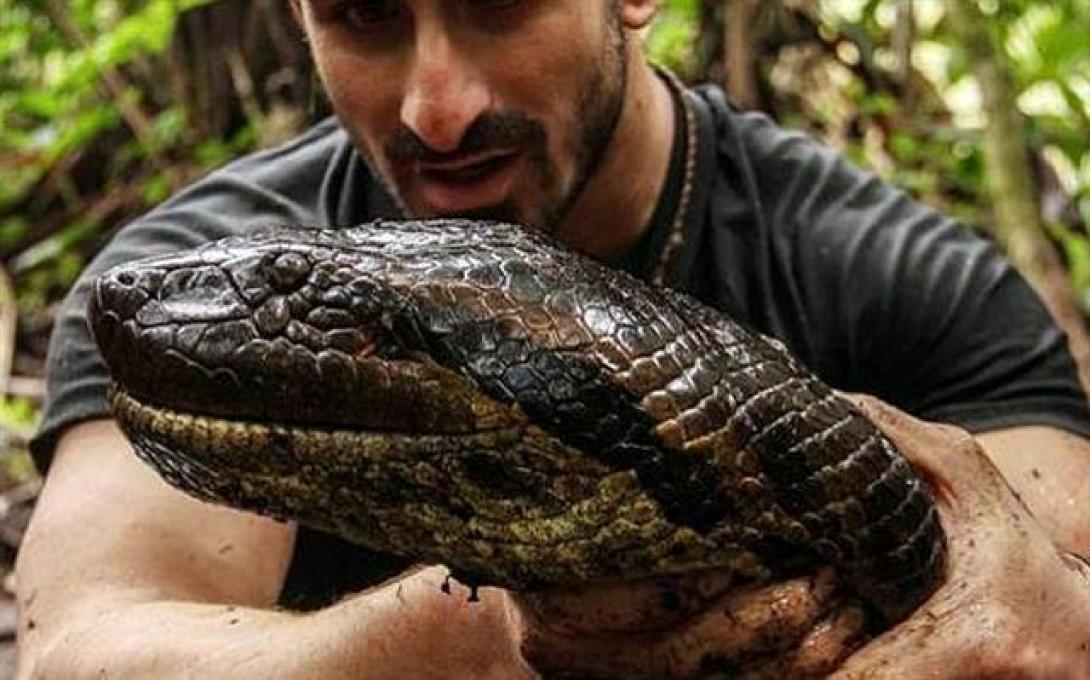 "Φιάσκο" το πείραμα - Τελικά δεν τον κατάπιε το ανακόντα