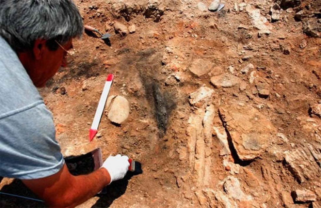 Μοναδικό ξύλινο έυρημα στο Δέλτα Φαλήρου